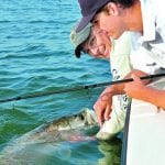 article image - 